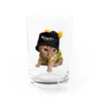 茶太郎🐱とモンブランの茶太郎のコスプレ ハチシリーズ Water Glass :front