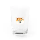 かれいの散歩行きたくない Water Glass :front