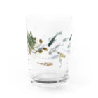 トラのメダカとウォーターダイヤのコップ(小) Water Glass :front