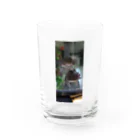 sorasora-のウーパールーパー　仲良しコンビ Water Glass :front