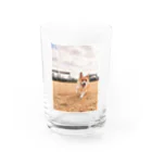 脚長コーギーの脚長コーギーむぎくん Water Glass :front