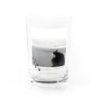 秘密結社猫のために生きよの田代島にゃんシリーズ　平和な日常 Water Glass :front