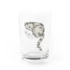 Aimé le chatのねむりおおねこのグッズ Water Glass :front