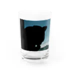 茶色三毛猫ルームの夕方の三毛猫の影 Water Glass :front