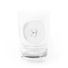 chiho_seal_shopのスヤスヤ ワモンアザラシ sleeping ringed seal Water Glass :front