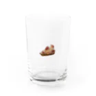 うみねこショップのいちじくけーき Water Glass :front