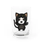 みきぞーん｜保護猫 ミッキー画伯と肉球とおともだちのmaruku Water Glass :front