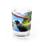 がーちゃんねる（※カラスの名前はクロです）のがーちゃんねる カラスのクロ Water Glass :front