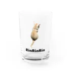 RinRinRinの後ろ向きの猫ちゃん Water Glass :front