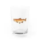 のぞみユニ🐟のブラウントラウト（カラー） Water Glass :front