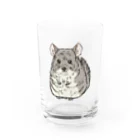 tanuki_msのチンチラ Water Glass :front