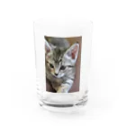 キティの今日も今日とてルナ日和 Water Glass :front