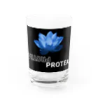 ProteaのBlue Lotus グラス前面