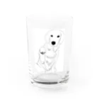 Golden_Retriever_RINのSARA Water Glass :front