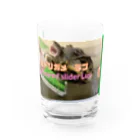 カメオタクの飼育箱のミドリガメ　ラブちゃん Water Glass :front