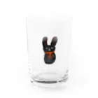 パンダラボの黒うさぎくんオレンジリボンつき Water Glass :front