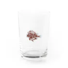 海の仲間たちオフィシャルSTOREのミノカサゴ Water Glass :front