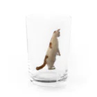 ☆家猫カンパニー社員グッズ☆のスタンディングきびだんご Water Glass :front