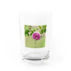 Amie's Gardenのハーブのお店のダマスクローズ Water Glass :front