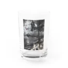 san_oの生 Water Glass :front