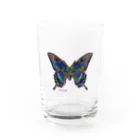 ジュノの秘密のアトリエのカラスアゲハ／Juno Water Glass :front