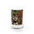 柴犬けんたろー。の柴犬のけんたろー Water Glass :front