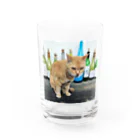 acobi'sの酒猫 Water Glass :front