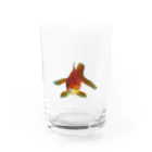 acobi'sのこっち見てる違う金魚 Water Glass :front