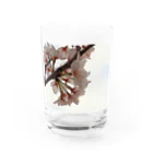 ムーンライトのイラスト風SAKURA Water Glass :front