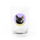 osuimono(ふーふのふ～)のきょとんとした猫 Water Glass :front