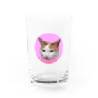 ふーふのふ～のムスッとした猫 グラス前面