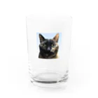 osuimono(ふーふのふ～)の証明写真のような猫 Water Glass :front