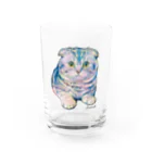 ジュノの秘密のアトリエのスコティッシュフォールド／Juno Water Glass :front