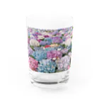 闘牛チャンの涼しげモコモコ Water Glass :front