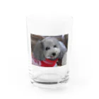 iyasinceのお犬好し「ぱぁるたん」コミュニケーション能力 Water Glass :front