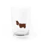 meongmeong（モンモン）のイングリッシュスプリンガースパニエル Water Glass :front