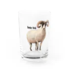 isla_laのひつじちゃんグラス Water Glass :front