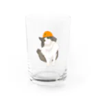 猫のイラスト屋さんのrin Water Glass :front