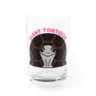 STAR TORTOISEのゾウガメ　カラー Water Glass :front