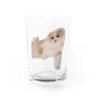 ふうまくんのお店のおねむなふうまくん Water Glass :front