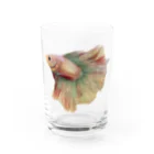 momoco3510のゆきちゃん Water Glass :front