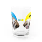 シーズー愛のアンバー太郎のトリミング Water Glass :front