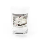 RikuMiku(りくみく）のりくみく（なかよし） Water Glass :front