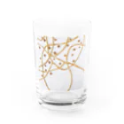 eclat-misaのnuance series Water Glass :front