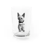 sari the catのsari the cat Vol.2 Water Glass :front