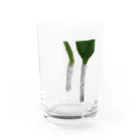 echirのTSURARA Water Glass :front