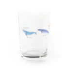umisachi-embのおおむかしのクジラグラス グラス前面