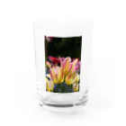 Gallery Crystalのhappy  Water Glass :front