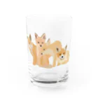 masumi maedaの寄り添う　キツネたち Water Glass :front