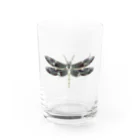 キッチンファラオのトンボ　デザイン Water Glass :front